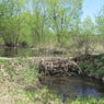 Beaver dam analogue