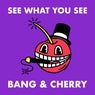 See What You See