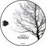 Pongo