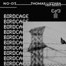 Birdcage (feat. David K.) [Extended Mix]