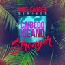 Stronger - Noel Sanger Remixes