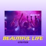 Beautiful Life