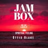 Spiritual Feeling (Original mix)