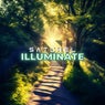 Illuminate