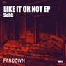 Like It Or Not EP