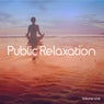 Public Relaxation, Vol. 1 (Finest Chill Out Moods)
