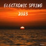 Electronic Spring 2023