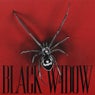 BLACK WIDOW (Extended Mix)
