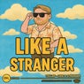 Like A Stranger (Extended Mix)
