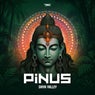 Shiva Valley