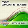 Top Drum & Bass Spring 2014