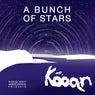 A Bunch Of Stars (Radio Edit)
