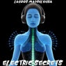 Electric Secrets
