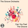 Can You Feel The Groove