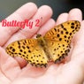 Butterfly 2