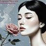 Fragrance Like a Rose