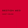 Section Red