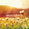Soulful Deep House / Spring Session