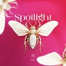 Spotlight