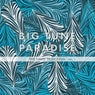 Big Tune Paradise - The Hard Selection, Vol. 1