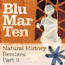 Natural History Remixes, Pt. 2