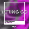 Letting Go (Extended Mix)