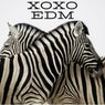 XOXO EDM