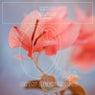 Older (Original Mix)