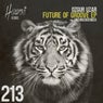 Future Of Groove EP