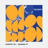 Shake It (Original Mix)