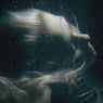 Immersion. Reflection.