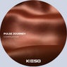 Pulse Journey