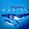 Singing Whales