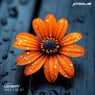 Free 2 Be EP