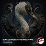 Black Swan Surfin'Imesouane