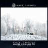 Winter Is Calling Me (Ambient Mix)