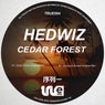 Cedar Forest