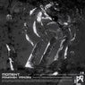 Moment (Slowed & Reverb)
