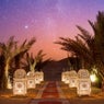 Maghreb Nights