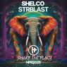 Shake The Place (Original Mix)
