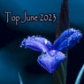 Top June 2023