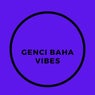Vibes