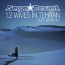 12 Wives in Tehran (David Tort Remix)
