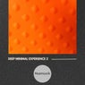 Deep Minimal Experience 2