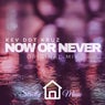 Now or Never (Original Mix)