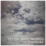 Flying With Whings