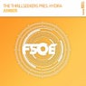 Amber (Extended Mix)
