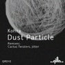 Dust Particle