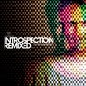 Introspection Remixed
