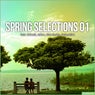 Spring Selections 01